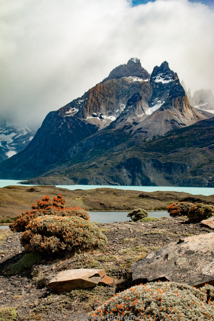 Patagonien (3207)